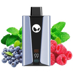 WAKA soPro 20000 - Черника Малина Ментол